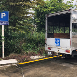 Học lái xe ô tô hạng C1