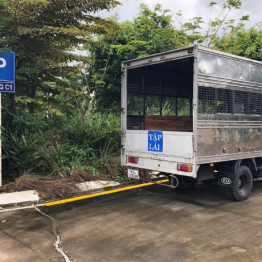 Học lái xe ô tô hạng C1